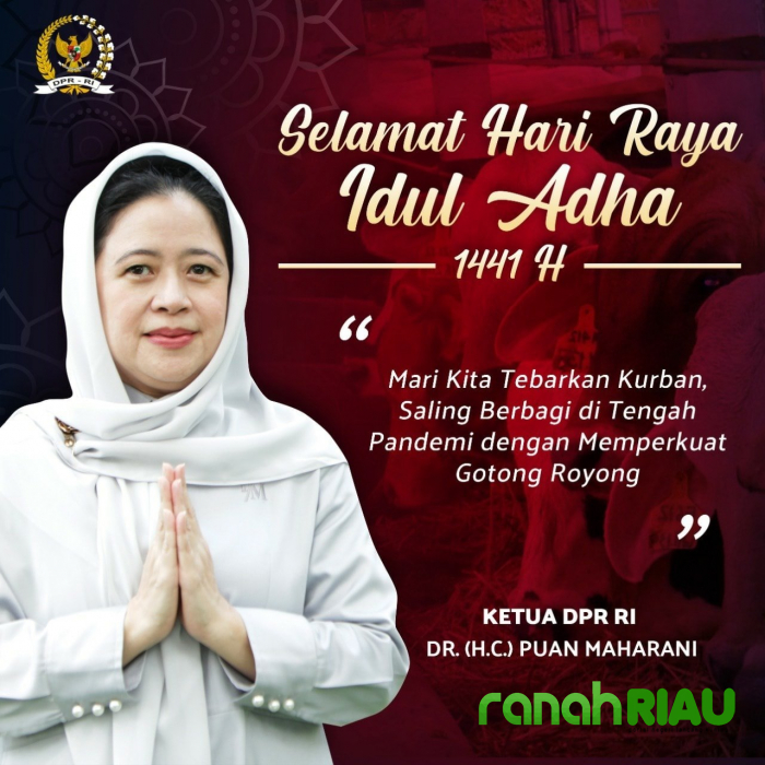 Sumbangan sapi seberat setengah ton dari Puan Maharani untuk Masyarakat Pekanbaru 